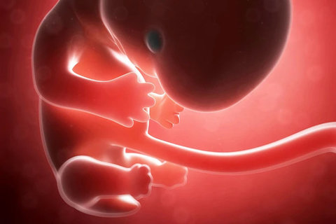 汕頭市中心醫(yī)院試管嬰兒：成功率與費(fèi)用全面解析