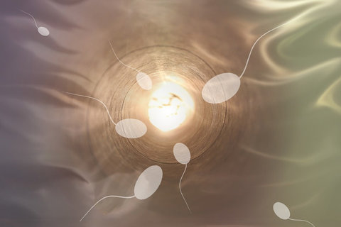 浙一醫(yī)院試管嬰兒多少錢啊？試管嬰兒費用揭秘