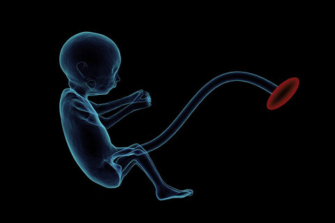 北京做試管嬰兒的醫(yī)院哪家最好？2025年十大頂尖機構(gòu)揭秘