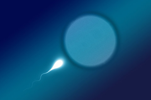 鹽城做試管嬰兒的醫(yī)院哪家好？鹽城試管嬰兒醫(yī)院精選