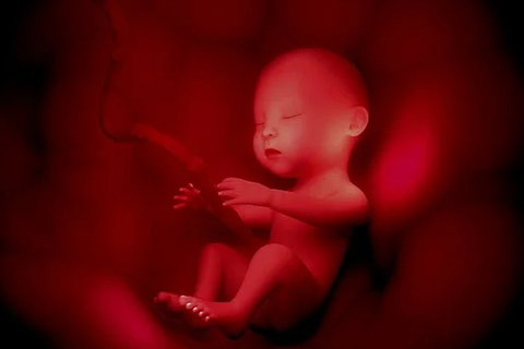 42歲做一代試管還是三代試管？成功率深度分析