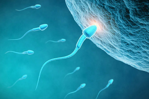 泰國試管嬰兒費用明細表：2025年價格全解析