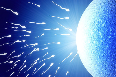 48歲做泰國(guó)試管能不能成功？成功率與費(fèi)用全面解析