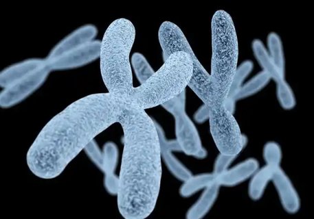 隱性遺傳可以做三代試管嗎？三代試管技術詳解