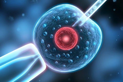 哈薩克斯坦做試管的經(jīng)歷有哪些？成功率與費(fèi)用的真實(shí)經(jīng)歷