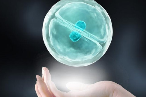 成都三代試管嬰兒醫(yī)院哪家好？技術(shù)、成功率與選擇指南