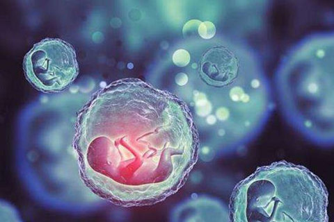 南昌第三代試管嬰兒多少錢？最新費用全解析