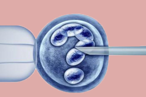 備孕期間怎樣才能容易懷孕？迎接好孕時(shí)刻