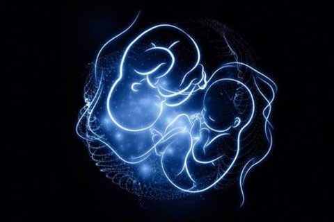 私立醫(yī)院做試管多少錢？私立醫(yī)院成本解析