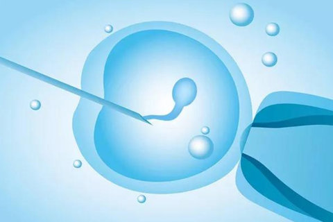 53歲試管成功生子幾率？53歲試管嬰兒成功率