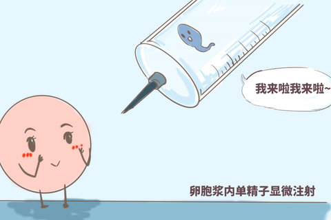 武漢助孕機(jī)構(gòu)有哪些？武漢助孕機(jī)構(gòu)全方位解析