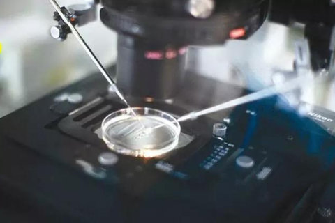 北京試管嬰兒成功率最高的醫(yī)院是哪家？成功率領(lǐng)跑者