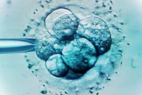 武漢試管排名第一私立醫(yī)院排名揭曉！2025年領(lǐng)先者