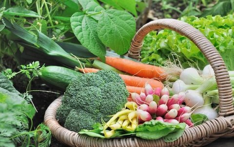 早孕期間吃什么最營養(yǎng)？早孕營養(yǎng)全攻略