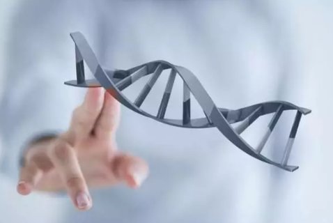 三代試管全知道：費(fèi)用與成功率一覽