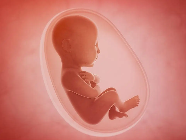 想做三代試管，準(zhǔn)備15萬夠嗎？一文給你講清楚