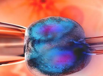 取卵14個(gè)為什么一個(gè)沒配成功？取卵14個(gè)卻未配成功的迷思