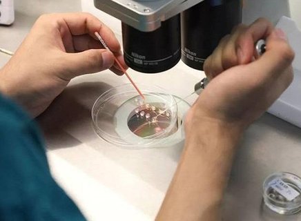 三代試管嬰兒技術！預防遺傳病的科學屏障