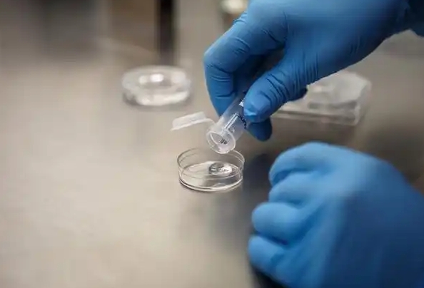 蘭州做試管嬰兒要多少錢？蘭州試管費(fèi)用全解析