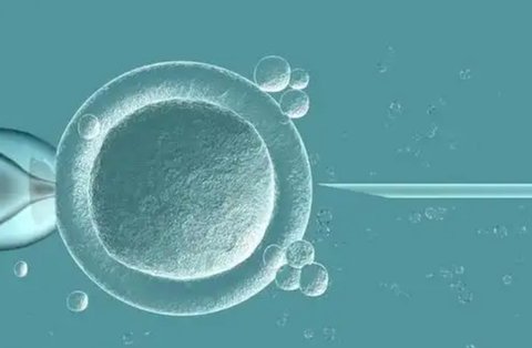 吉林做試管嬰兒要多少錢？三代技術(shù)成本與成功率