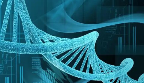 北京做試管一次多少錢？2025北京試管費用解析