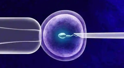 做試管中國好還是美國好？中國與美國試管嬰兒大比拼