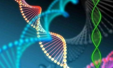 國內(nèi)做三代試管要多少錢？國內(nèi)三代試管嬰兒價格2025