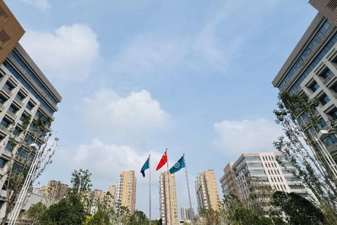 鄭州試管嬰兒成功率高的醫(yī)院全解析