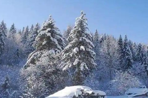 俄羅斯試管嬰兒多少錢？2025最新明細表