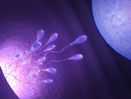 去泰國做試管靠譜嗎？赴泰試管安全性分析