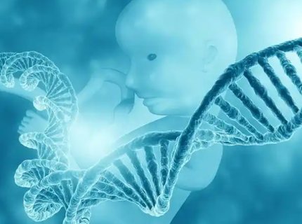 如何去美國做試管？赴美試管生子攻略