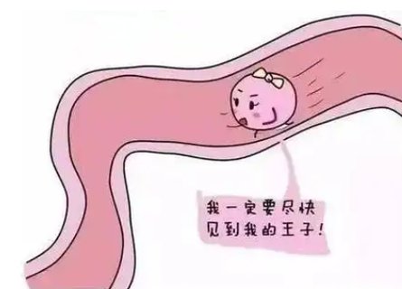 促排卵一次的費(fèi)用大概多少？促排卵治療費(fèi)用詳解