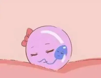 胚泡植入子宮內(nèi)膜的過程叫什么？著床的關(guān)鍵步驟