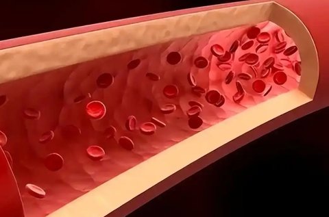 A型血為何被稱為“貴族血”？揭秘背后的真相