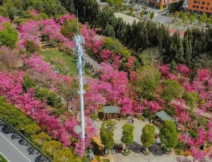 昆明做試管嬰兒需多少錢？助您輕松規(guī)劃生育預(yù)算