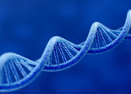 無(wú)創(chuàng)DNA國(guó)家有補(bǔ)貼嗎？無(wú)創(chuàng)DNA國(guó)家補(bǔ)貼政策全解析