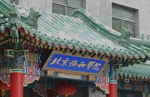 國內(nèi)哪家醫(yī)院試管成功率高？國內(nèi)試管嬰兒成功率醫(yī)院排名