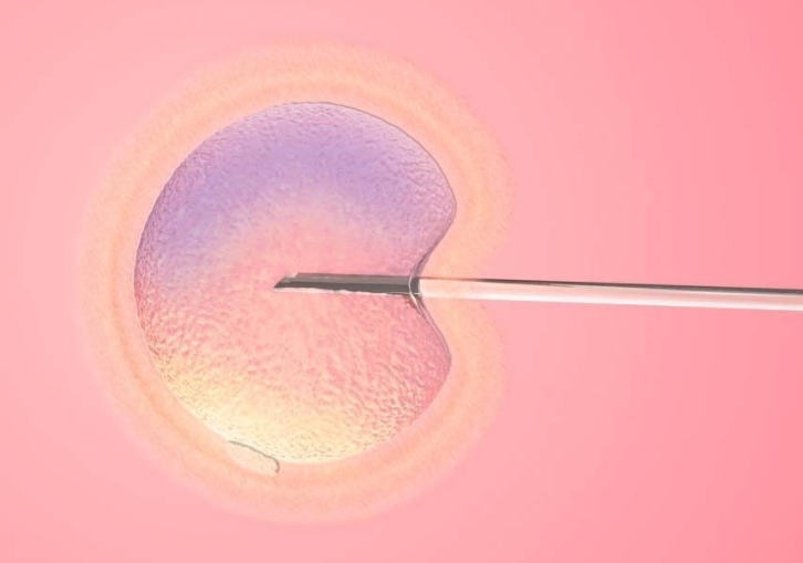 泰國試管雙胎全流程揭秘：28天實現(xiàn)兒女雙全的科學指南