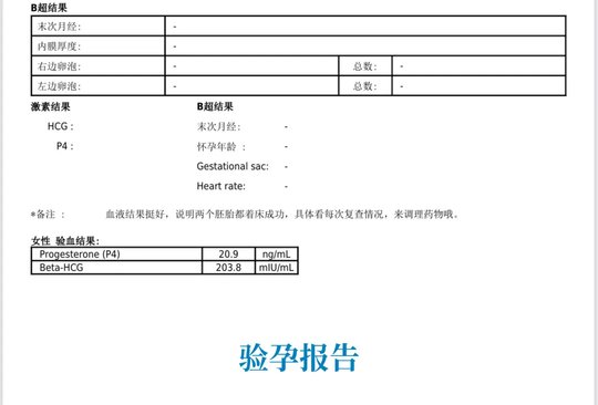 驗孕報告 驗孕報告