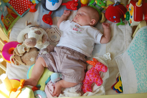 反復(fù)移植失敗必查清單：從內(nèi)膜到免疫