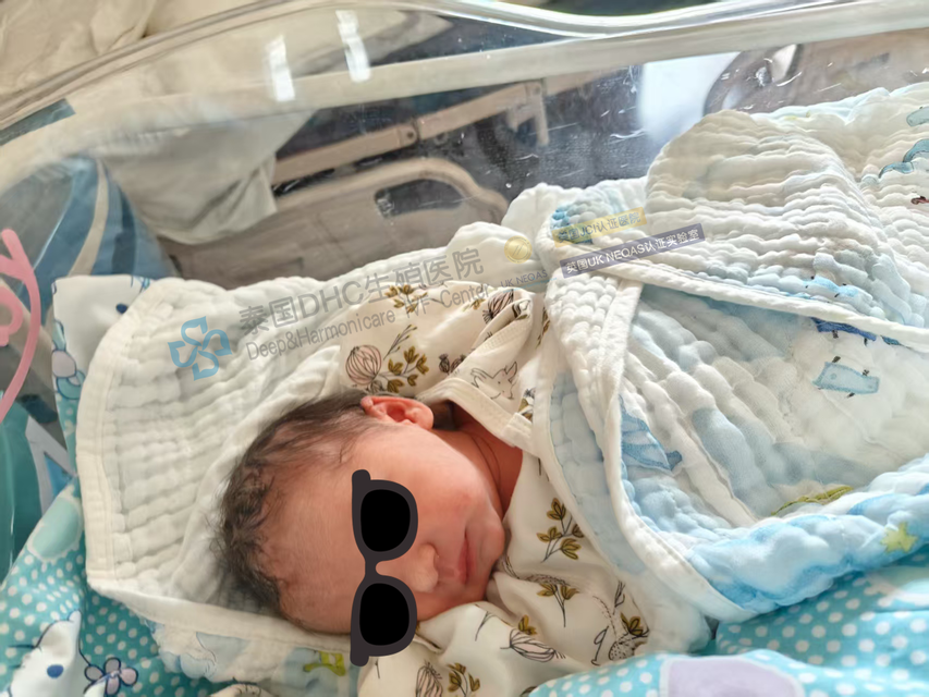 我屬于需要凍卵的哪一類？三大場景下的生育力保險規(guī)劃